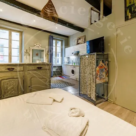 Apartment Le Chineur-hyper Centre-near Station-wifi Toulon